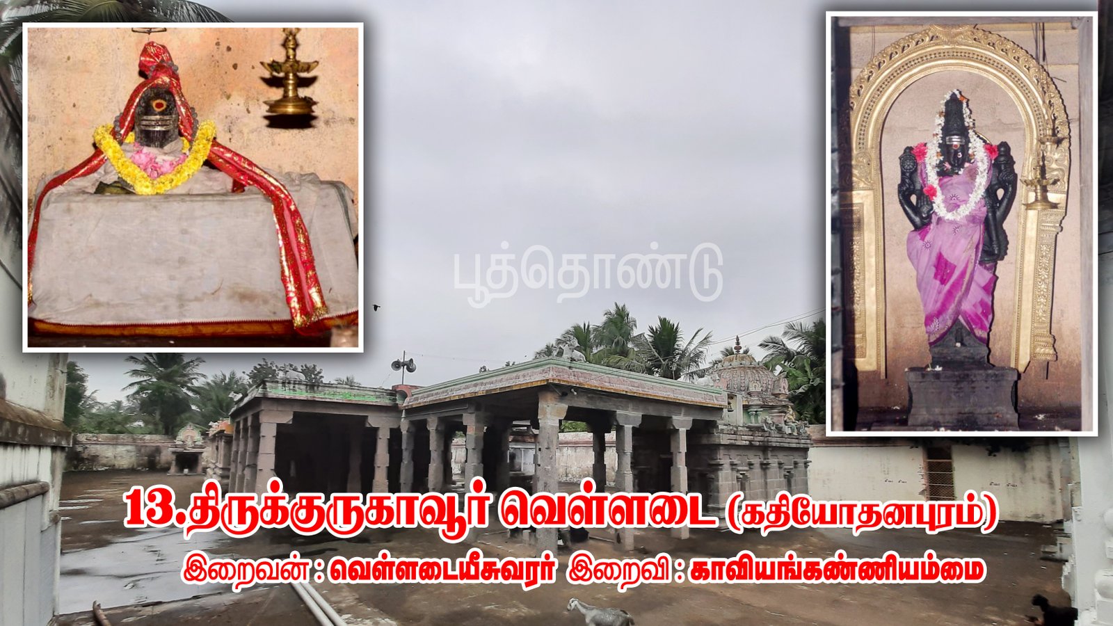 வெள்ளடைநாதர் திருக்கோயில் திருக்குருகாவூர்வெள்ளடை 