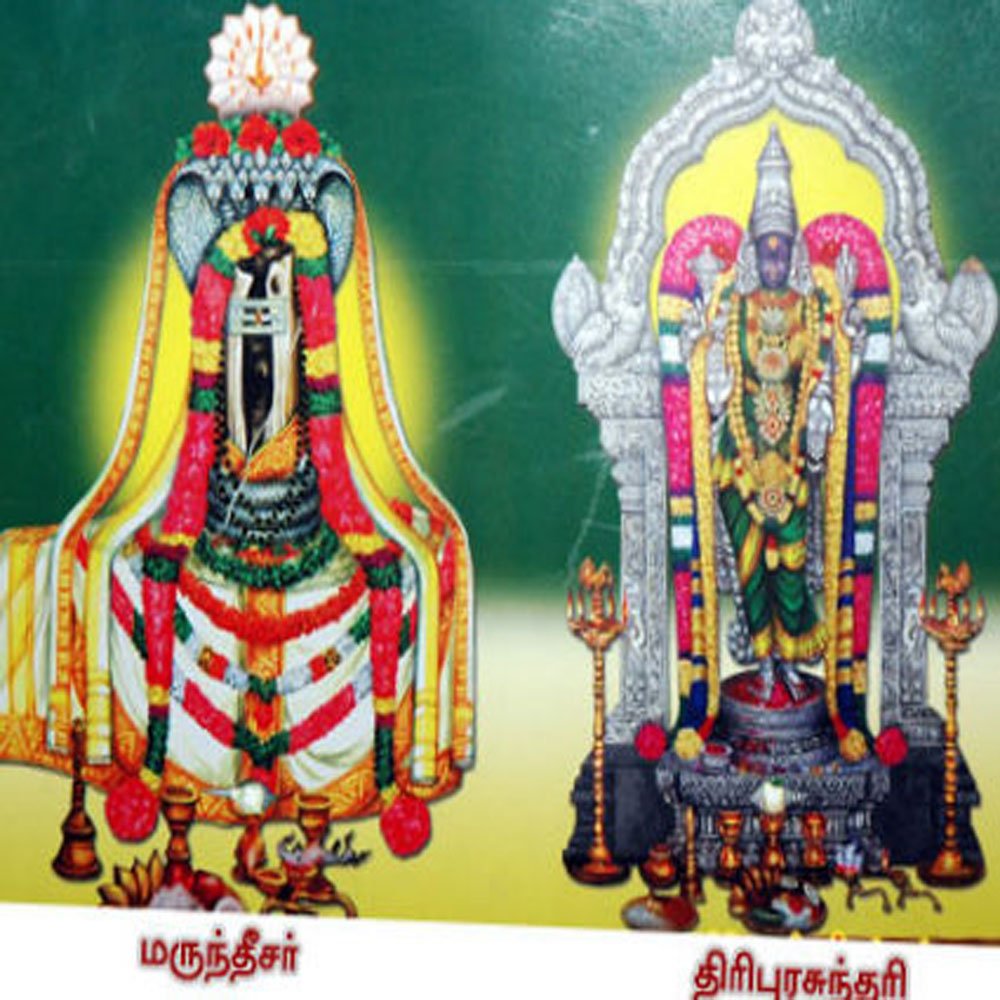 வைத்தியநாதர் திருக்கோயில்  (திருப்புள்ளிருக்குவேளூர் )