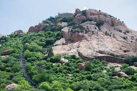 ரத்னகிரீஸ்வரர் திருக்கோயில் (திருவாட்போக்கி )