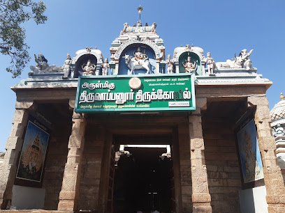 ஆப்புடையார் கோயில்